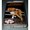 Wembley Greyhounds  (EDOS)
